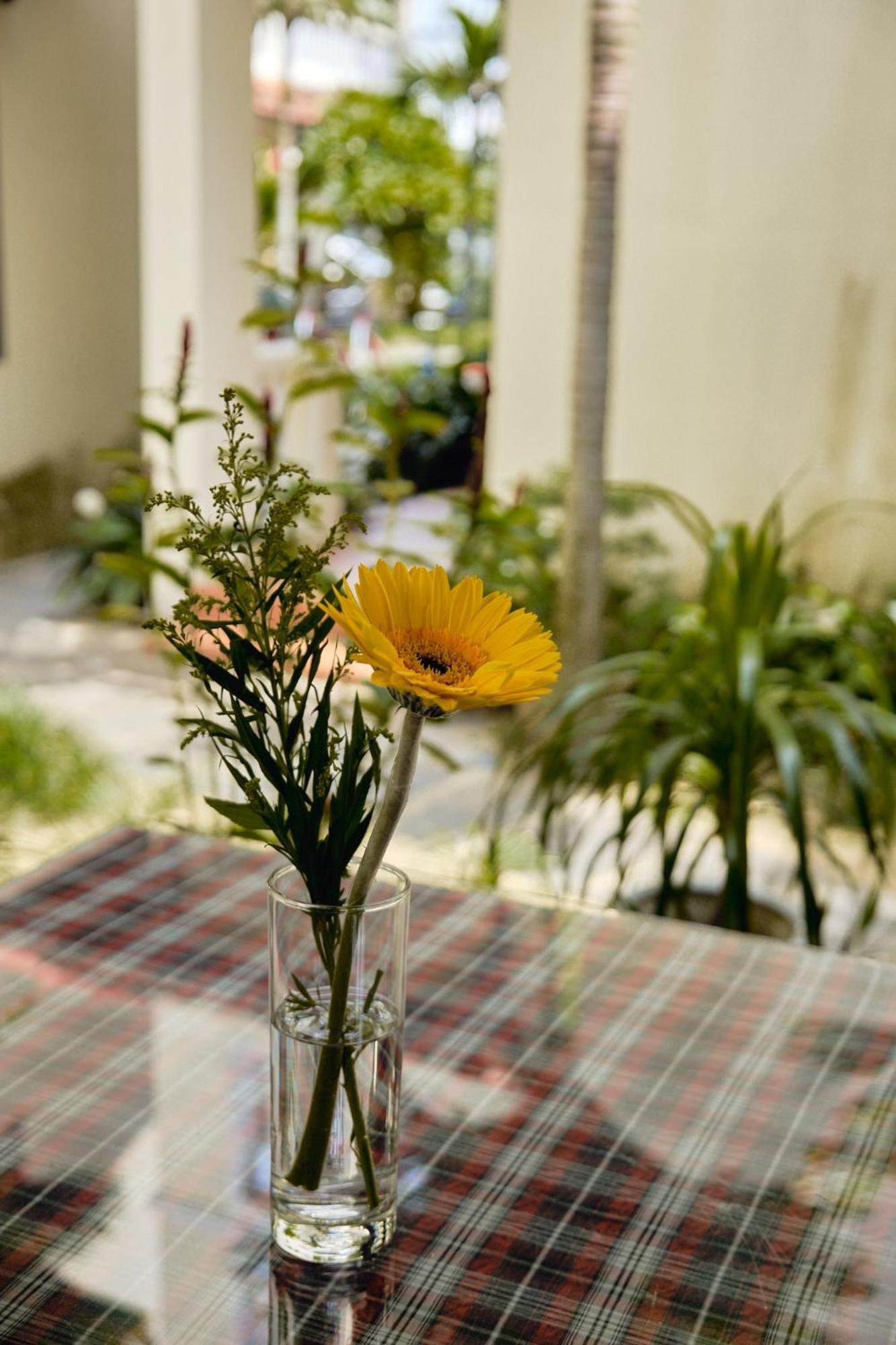 Hoi An Holiday Villa Luaran gambar